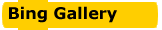 bing gallery
